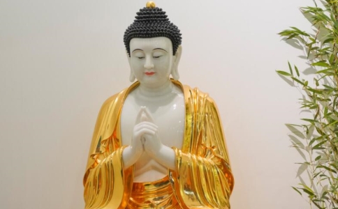 性仁法师：佛学与学佛有区别吗？学佛与佛学的关系