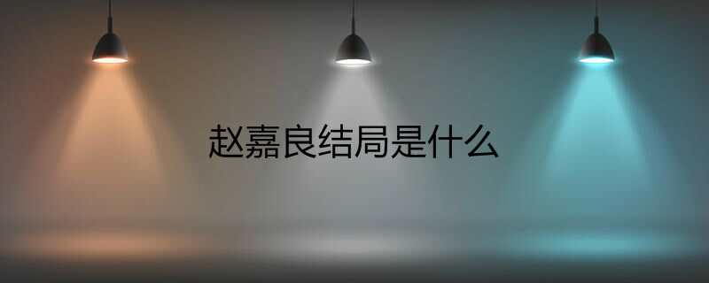 赵嘉良结局是什么