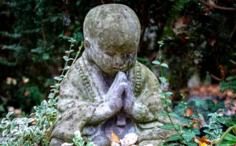 性仁法师：学佛一定要吃素吗？三净肉是怎么回事？