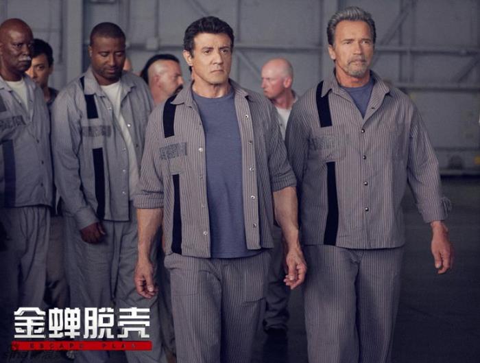 监狱题材电影排行榜前十名：十部最好看的监狱电影