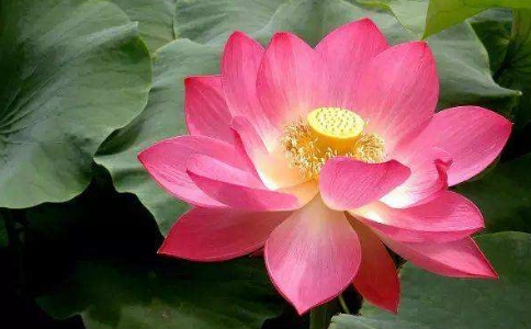 死亡是什么？真正的福报是什么样的？