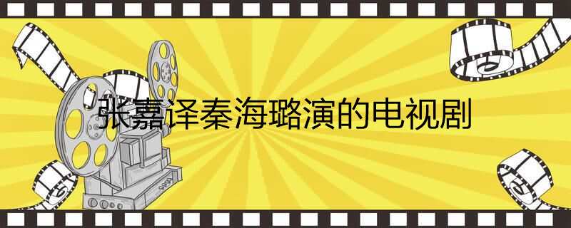 张嘉译秦海璐演的电视剧