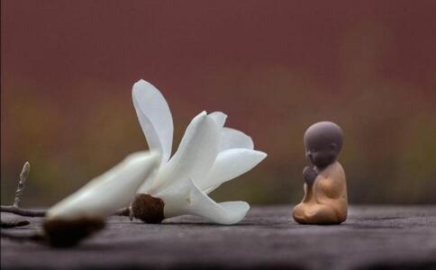 觉火法师：怎样破除我执和法执？