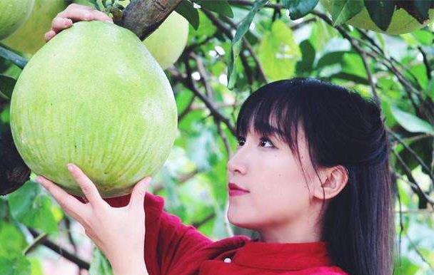 李子柒靠什么赚钱