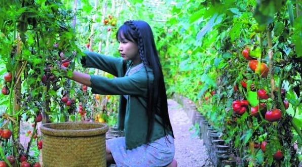 李子柒靠什么赚钱