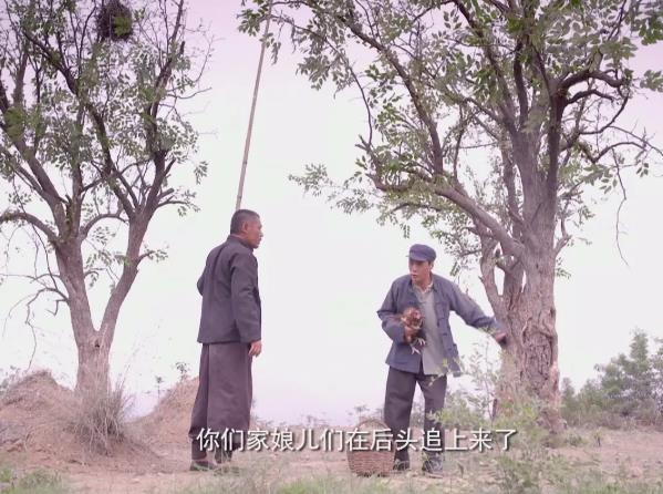 农村电视剧有哪些好看的？最经典农村电视剧10部