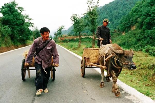 让人笑成傻子的电影10部：十部巅峰喜剧电影推荐