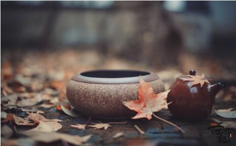 “十不求行”是什么意思？