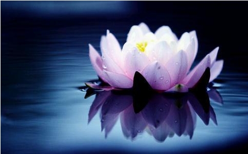 大乘佛法的核心是什么？是菩提心