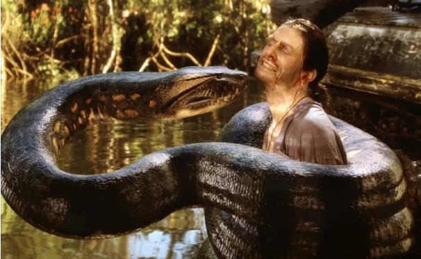 怪兽电影排行榜前十：十大必看怪兽电影