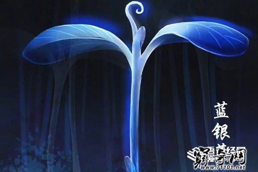 斗罗大陆实力排名 斗罗大陆前十高手排名