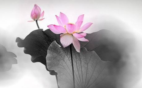 佛教“四圣谛”是什么意思？如何灭苦？