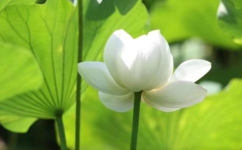 佛教为什么规定要在早晚二时做功课？