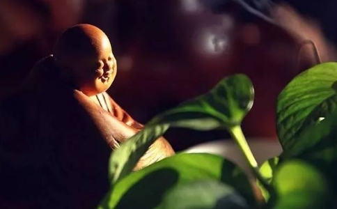 佛教讲的“不分别”是什么意思？