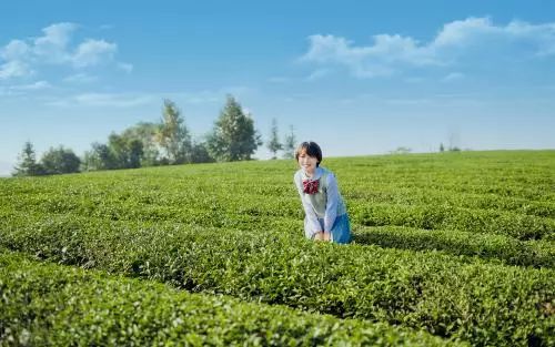 离婚不代表不能复合：男人出轨的3大原因，老公精神出轨的3大原因