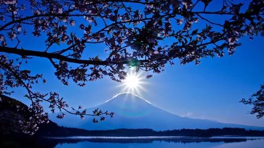 挽回爱情秘籍：如何挽回老婆冰冷的心?关键看你怎么去做！