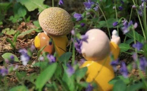 了瑞法师：什么叫恒顺众生？真正的恒顺众生