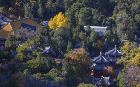 广行法师：中国佛教的十小名山是哪十座？