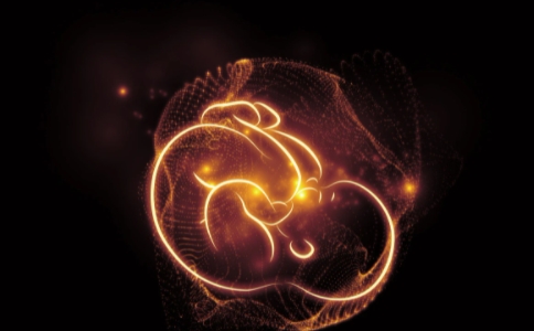 如源法师：十二缘起的识是什么意思？十二因缘的识怎么理解？