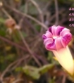 心灵鸡汤优美句子