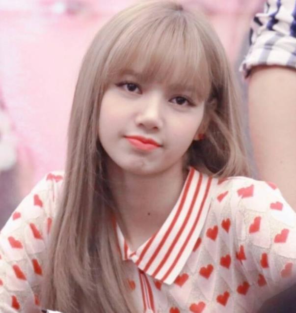 black pink成员介绍