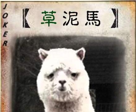 为什么叫孩子为神兽，网络用语神兽什么意思