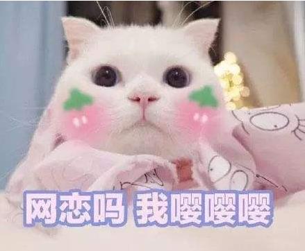 嘤嘤嘤什么意思：嘤嘤嘤暗示什么污意思