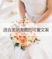 适合发朋友圈的可爱文案句子