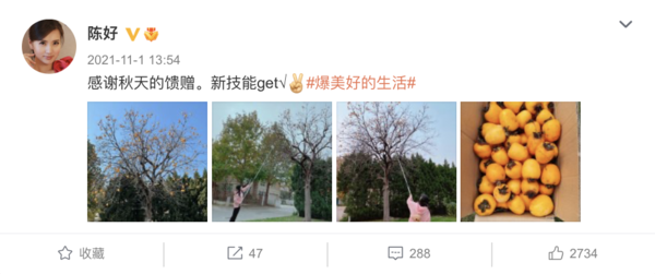 “万人迷”陈好上课状态被偷拍！