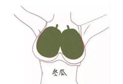 胸部abcd罩杯是什么意思(真实罩杯a到g示意图)