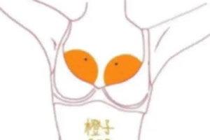 女性abcd罩杯分别是多大该怎么区分