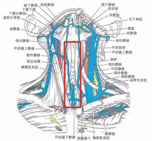 男女生为什么要吸草莓，成功种个草莓及消除方法