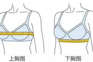 女生胸围88是多大罩杯(是胸部外部周长)