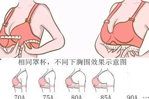 女性a罩杯b罩杯c罩杯哪个罩杯最大