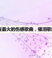 现在最火的伤感歌曲 催泪歌曲大全