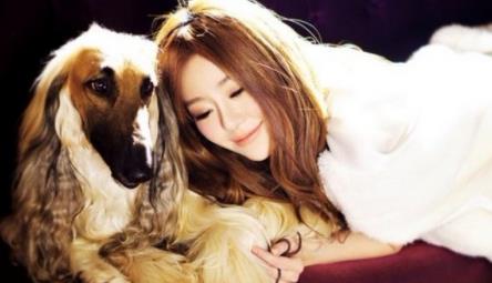 安又琪个人资料：安又琪引起周杰伦不满