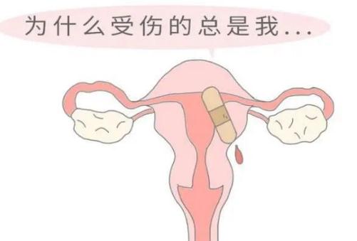 2022年意外怀孕不允许堕胎吗 2022年意外怀孕不允许堕胎吗
