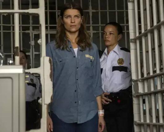 美剧大尺推荐电视剧2021回顾(精选20部高分美剧)