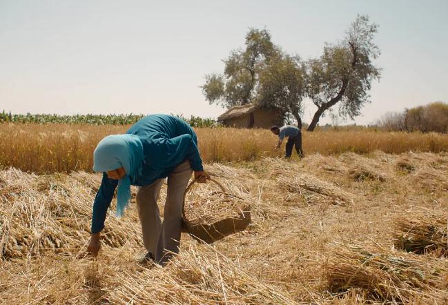近期好看的电影2022(最新上映2022电影排行榜前十名)