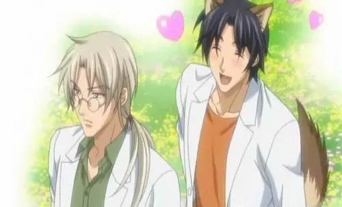 6部动漫车车好快的车车推荐