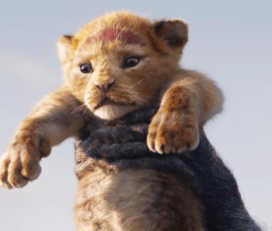 适合小学生看的电影排行榜前十名 适合小学生看的电影排行榜前十名