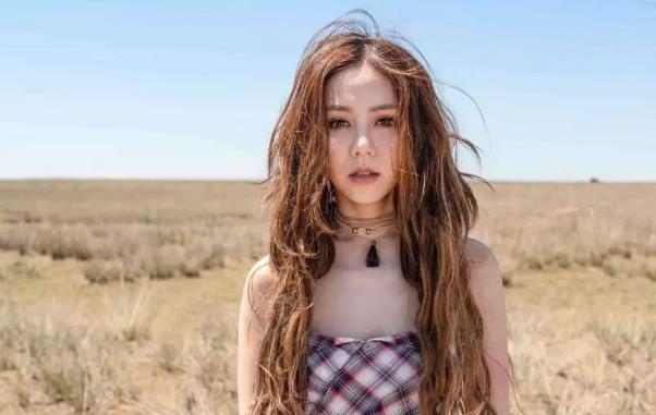 邓紫棋等了九年的人是谁,邓紫棋等了九年的歌叫什么