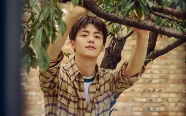 马天宇个人资料及简介(年龄,身高,身世,图片)