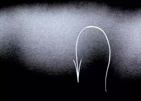 奥斯卡最佳动画短片20部推荐 奥斯卡最佳动画短片20部推荐