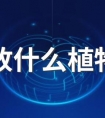 入户门放什么植物风水好 适合放在家门口招财的植物排行榜