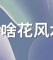 家里养啥花风水最好 世界十大最旺风水的花排行榜