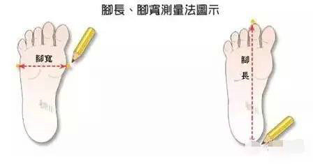 女鞋尺码表对照表 女生鞋子码数对照表图