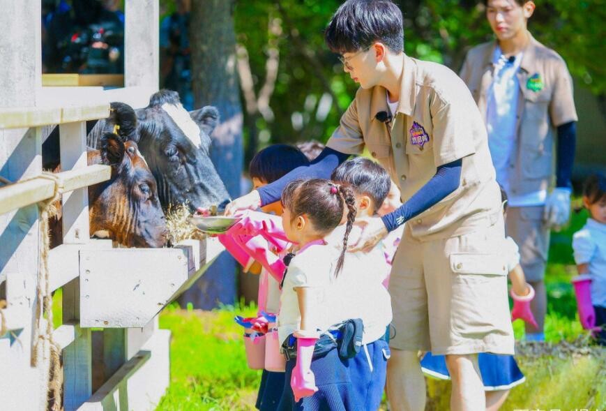 祝幼师教师节快乐祝福语句子大全