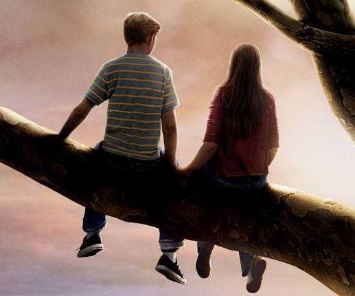 推荐3部适合情侣看的高分爱情电影(恋人必备)