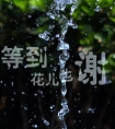 伤感催泪的歌曲(催人泪的10首伤感歌曲推荐)